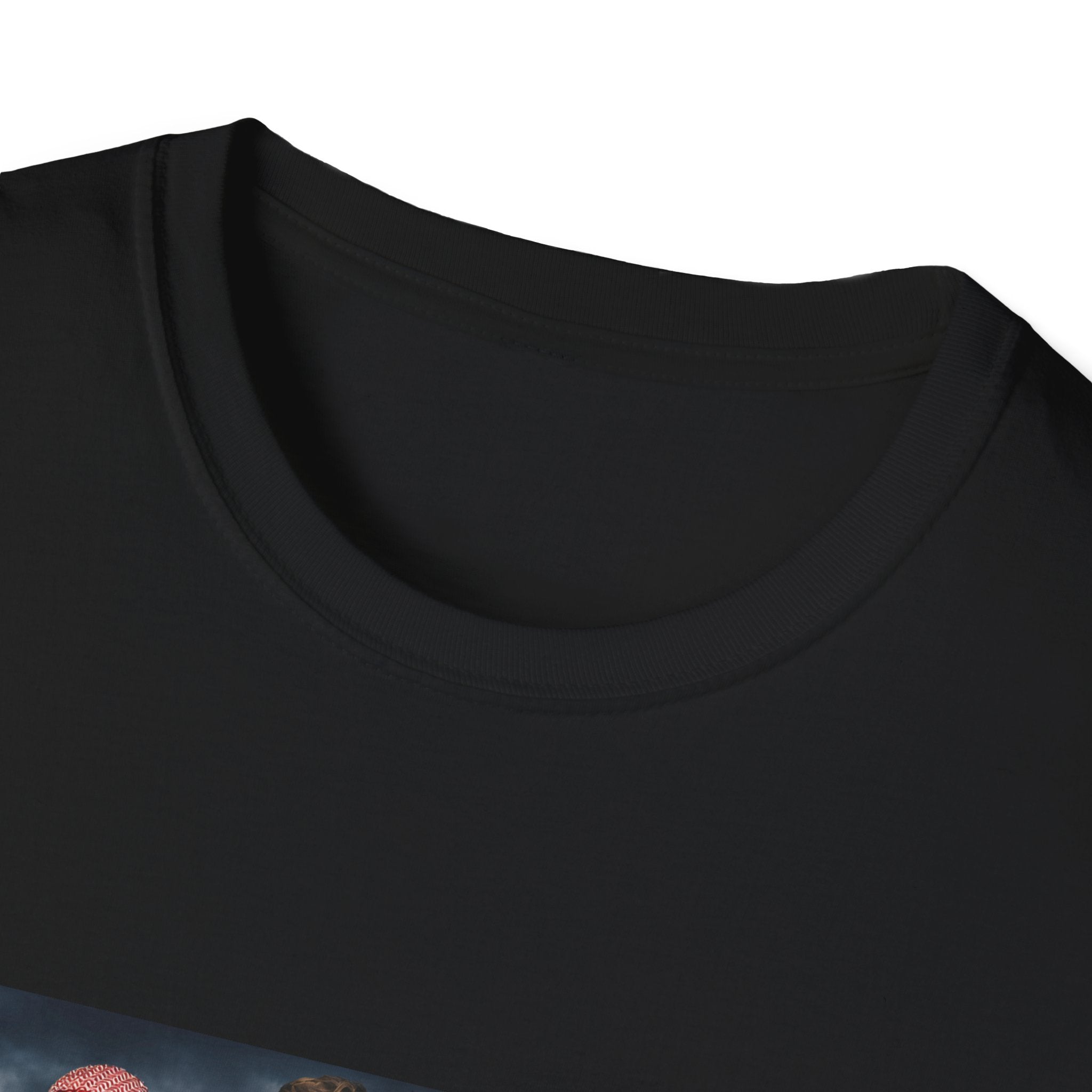 Secret T